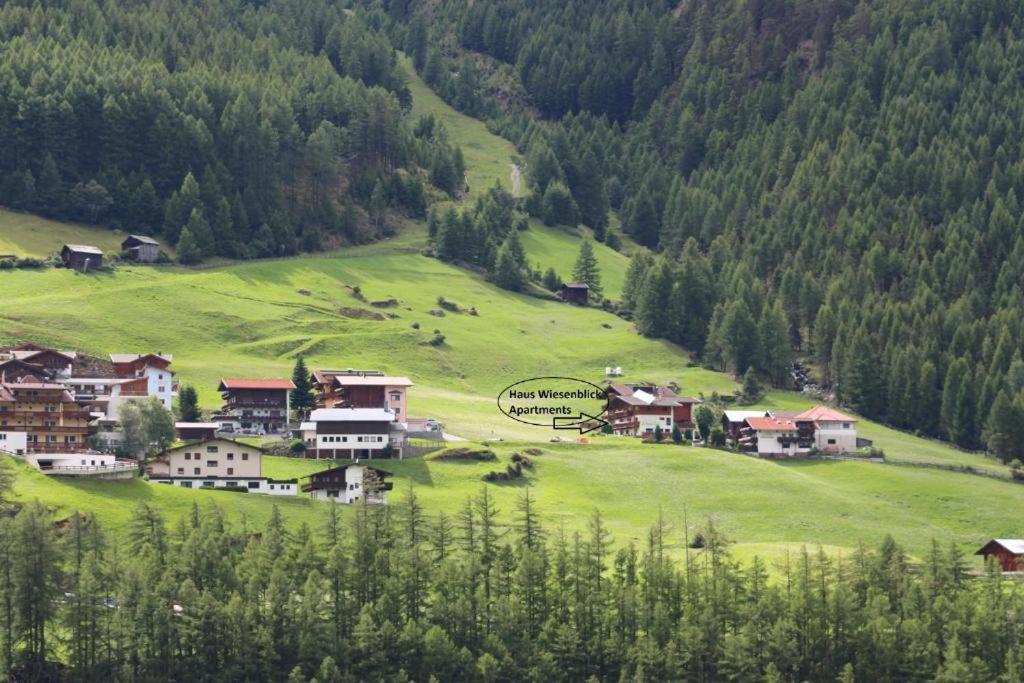 Haus Wiesenblick เซิลเดน ภายนอก รูปภาพ